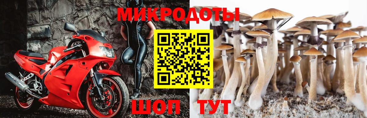 Псилоцибиновые грибы Psilocybine cubensis  Вход с VPN  Кольчугино 